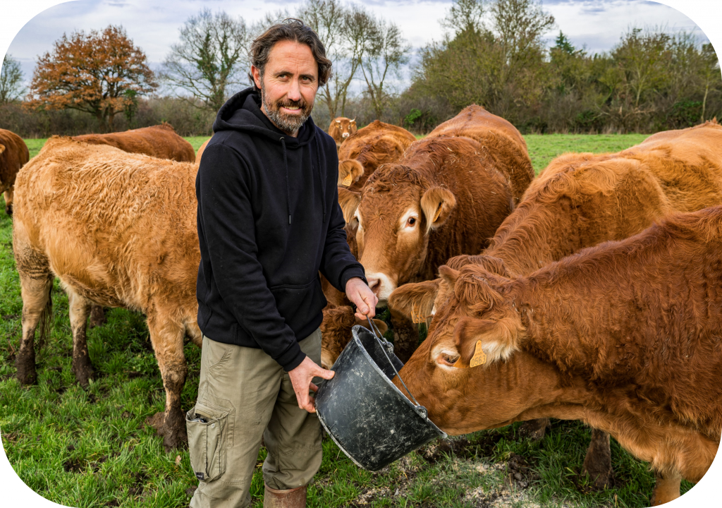 Depuis 2016, David Gélineau alimente son troupeau de race Limousine uniquement avec le fourrage et les céréales produits à la ferme
