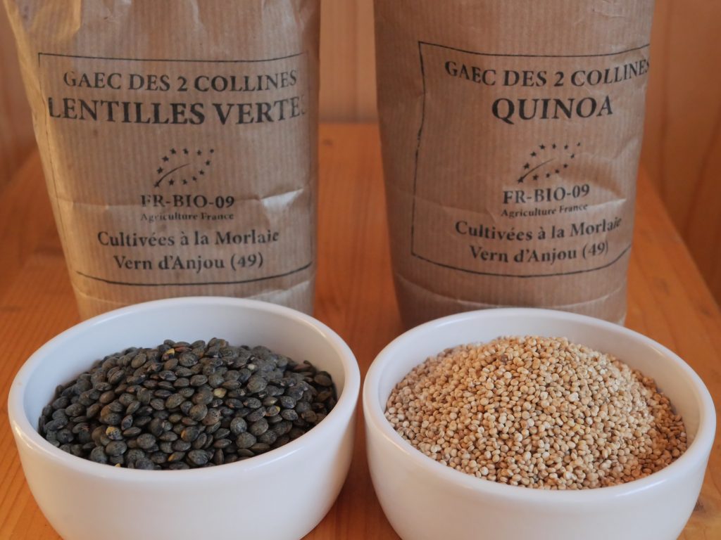 EARL Des Chênes - lentilles et quinoa